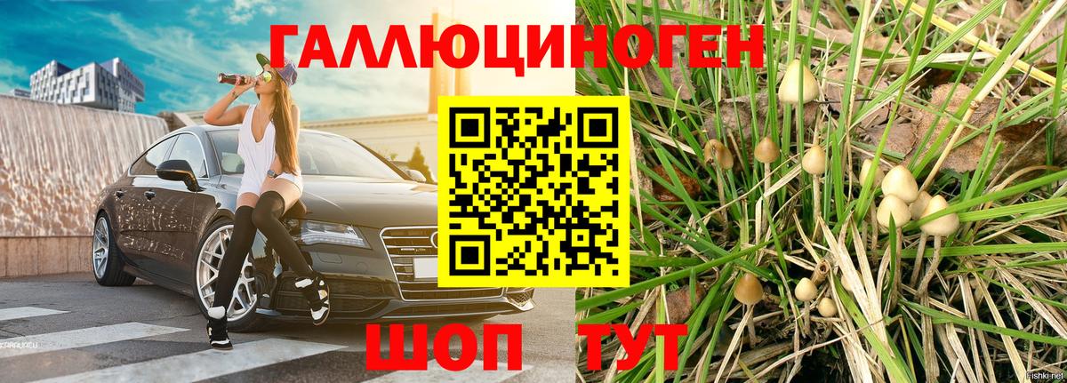 Псилоцибиновые грибы прущие грибы  Псилоцибиновые грибы GOLDEN TEACHER  Вход с VPN  Тара 